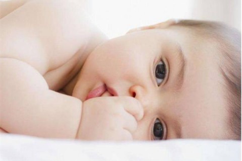 http://www.bytld.cn/post/204.html|人工试管