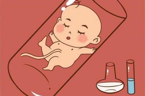 http://www.bytld.cn/post/206.html|供卵助孕