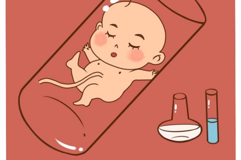 http://www.bytld.cn/post/205.html|服务项目